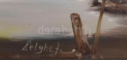 Pelyhe József (1948-): Szél a síkságon. Olaj, farost, jelzett, hátoldalán autográf felirattal és Kép...