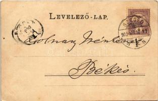 1900 Szeged, Klauzál tér, piac, gyógyszertár, Árvay Sándor és Schwab Mór üzlete, könyvnyomda