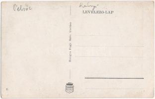 Pelsőc, Pelsőcz, Pelsücz, Plesivec (Gömör); Református templom, Hősök emléktáblája, Országzászló / C...