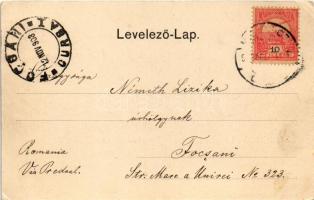 1903 Diósgyőr (Miskolc), látkép a várrommal. Lövy József Fia (László Adolf) kiadása (EK)