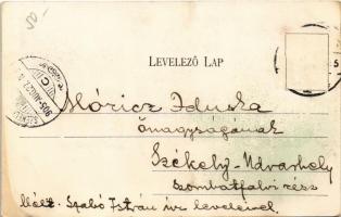 1905 Büdöspataka-fürdő, Bizusa-Bai; Erzsébet kút, Bemenet a fürdőhöz, Sétaút. Dr. Móricz Aladár amat...