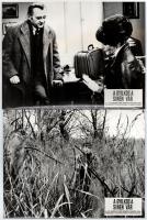 1970 ,,A gyilkos a sínen vár című csehszlovák film jelenetei és szereplői, 11 db vintage produkciós filmfotó, ezüstzselatinos fotópapíron, 18x24 cm