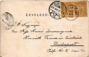 1901 Marilla, Marila; Tornaterem, fedett tánc és sétahely, park. Gross Gyula kiadása / gym hall, dan...