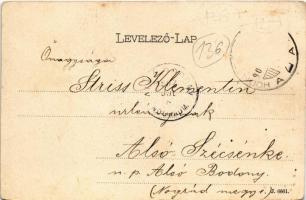 1902 Hódmezővásárhely, Református főgimnázium. Reisz bazár kiadása. Plohn J. műterméből. Art Nouveau...