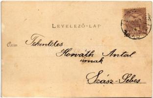 1900 Vinga, látkép. Bloch H. kiadása / general view (EK)