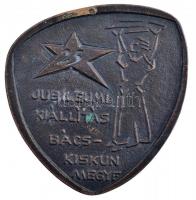 1970. Jubileumi kiállítás - Bács-Kiskun Megye / Ipari-kereskedelmi Kiállítás 1970 kétoldalas, öntött bronz plakett (80x76mm) T:2 kis patina