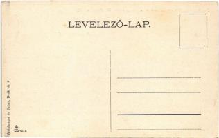 Budapest VII. Dr. Batizfalvy-féle szanatórium és vízgyógyintézet, oldalhomlokzat. Aréna út 82. (ma D...