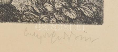 Sulyok Gabriella (1939-): Pannonhalma. Rézkarc, papír, jelzett, számozott (28/100), üvegezett fakere...