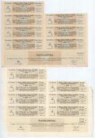 Budapest 1895. "Magyar Folyam- és Tengerhajózási Részvénytársaság" részvénye 200K-ról, víz...