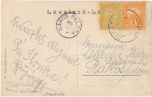 1906 Dunakeszi-Alag, Dr. Szuly Aladár üzlete, Fattinger féle húsrostos kutyalepény és Brázay-féle só...