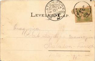 1904 Bodajk, gyógyfürdő (apró lyukak / small pinholes)