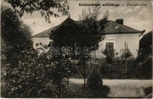 1920 Kiskomárom (Zalakomár), Szőlőhegy, Péczely villa (EK)