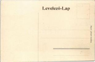 Baltavár, Bérbaltavár; szőlőhegy. Mayer József kiadása