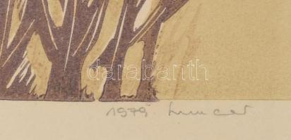 Lunczer Anikó (1942-): Réti müge. Színes linómetszet, papír, jelzett, számozott (23/100), lap alja k...