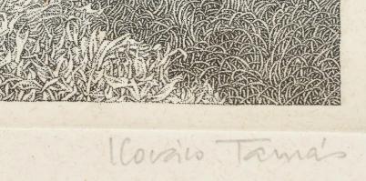 Kovács Tamás (1942-1999): Séta II. Rézkarc, papír, jelzett, számozott (67/100). Üvegezett fakeretben...