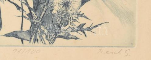 Reich Gábor (1951-): Tájkép II. Rézkarc, papír, jelzett, számozott (98/100). Kissé foltos. Dekroatív...