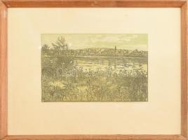 Lunczer Anikó (1942-): Dunapart. Színes linómetszet, papír, jelzett. Üvegezett fakeretben, 20,5×30 cm