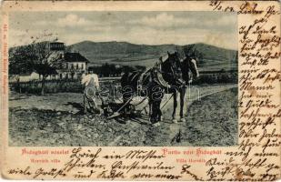 1904 Budapest II. Pesthidegkút, Hidegkúti részlet, szántás lovas kettes ekével. Divald Károly 342. (EK)