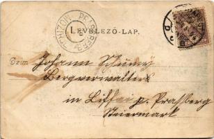 1904 Budapest II. Pesthidegkút, Hidegkúti részlet, szántás lovas kettes ekével. Divald Károly 342. (...