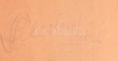 Szelestey László (1939-1991): Fények és árnyékok. Olaj, farost, jelzett. Hátoldalán autográf felirat...