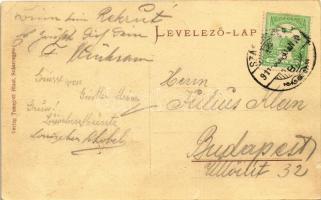 1911 Szászrégen, Reghin; Járásbíróság. Traugott Blasi kiadása / Bezirksgericht / county court (EK)