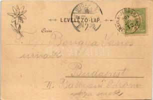 1904 Sztracenai-völgy, Ztracená, Stracenovska dolina, Stratena (Gömör); Feitzinger Ede 469 L