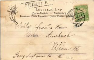 Rózsahegy, Ruzomberok (Liptó); Feitzinger Ede 791. L. (EK)