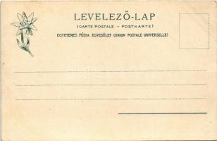 Tátra, Magas-Tátra, Vysoké Tatry; Lengyel-nyereg és a kis Viszoka, túrázók. Feitzinger Ede 303. 1904...