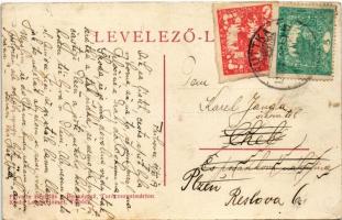 1919 Pribóc, Príbovce; utca, evangélikus iskola, Gróf Neuhausz nyárilak. Felvette Hegedűs J. fénykép...