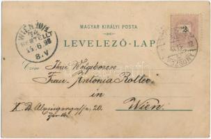 1898 (Vorläufer) Malacka, Malacky; Herceg Pálffy fűrésztelepe, iparvasút, gőzmozdony. Wetschl Kázmér...