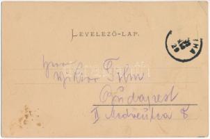 1903 Konyha, Kuchl, Kuchel, Kuchyna (Malacka); Fő tér ökörszekérrel. Wiesner Alfréd kiadása / main s...