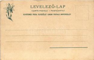 Ótátrafüred, Ó-Tátrafüred, Alt-Schmecks, Stary Smokovec (Magas-Tátra, Vysoké Tatry); Feitzinger Ede ...