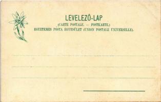 Újtátrafüred, Neu-Schmecks, Novy Smokovec (Magas-Tátra, Vysoké Tatry); Szanatórium és fürdőház. Feit...