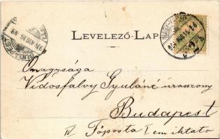 1904 Nagyvárad, Oradea; Fő utcai belső részlet, Lojanek J. fényképész, Huzella M. és Bazár üzlet. Öz...