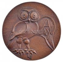 Ligeti Erika (1934-2004) 1986. 425 éves a debreceni nyomdászat kétoldalas, öntött bronz érem (65mm) T:1-