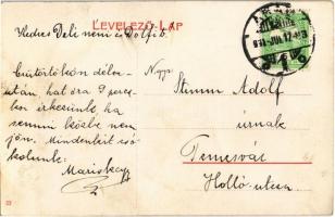 Arad, Darányi János (város főorvosa) emlékszobor a Baross parkban / statue of the town's head d...