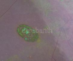 2016. "Magyar Ortopéd Társaság Kongresszusa - Hungarian Ortopaedic Association Annual Meeting&q...