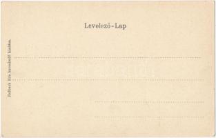 Marosvásárhely, Targu Mures; Szt. György utca, Várady F. Sándor üzlete. Szecessziós litho keret, Hol...