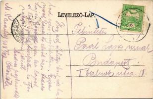 1908 Marosvásárhely, Targu Mures; Trébely hegy község, Fő tér, Bodor kút, Dudutz István, Fey József ...