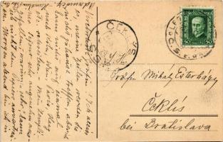 Őrmező, Strázske; Kastil grofa Ladislava Schchenyi / Gróf Széchenyi László kastélya / castle