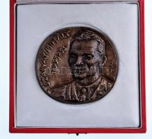 Szabó Iván (1913-1998) DN "Szalvay Mihály 1899-1955" egyoldalas Br plakett, dísztokban (95...