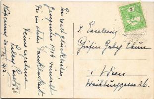 1913 Köpcsény, Kopcany, Kittsee; Dr. Gróf Batthyány László várkastélya / castle / Schloss