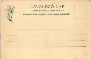 Tátra, Magas-Tátra, Vysoké Tatry; Ivan Markovics olajfestménye után. Feitzinger Ede 1902/12. 411. / ...