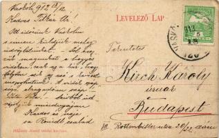 1912 Vaskoh, Vascau; Római katolikus templom. Miklóssy József utódai kiadása / Catholic church