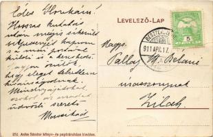 1911 Szamosújvár, Gherla; Népkerti korcsolyázó pavilon, téli sport. Anka Sándor kiadása / ice rink, ...