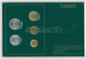 Törökország 1990-1993. 50L - 2500L (5xklf) forgalmi összeállítás kartonlapon, műanyag tokban T:2 patina Turkey 1990-1993. 50 Lira - 2500 Lira (5xdiff) coin set on cardboard in a plastic case C:XF patina