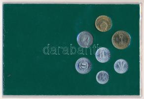 1989-1990. 10f - 10Ft (7xklf) forgalmi összeállítás kartonlapon, műanyag tokban T:1- patina
Hungary...