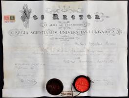 1903 Bölcsészdoktori oklevél, diploma, pergamen. Ballagi Aladár (1853-1928) történész aláírásával. Viaszpecséttel. 65x50 cm