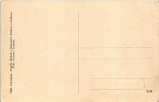 Divény, Diwein, Divín; vár, községháza, üzlet, autó. Ferdinand Moletz, Foto Brünner / castle, town h...