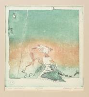 Almásy Aladár (1946-): Testvérek. Színes rézkarc, papír, jelzett, számozott (32/100), üvegezett fakeretben, 23×20,5 cm